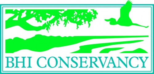 2023 Badwater Cape Fear Webcast